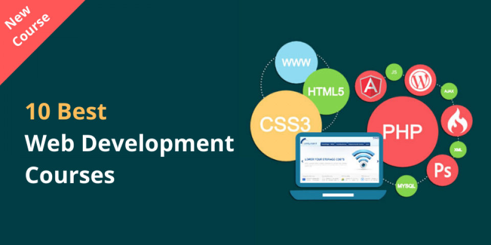 Some of the Top Web Development Courses for Beginners