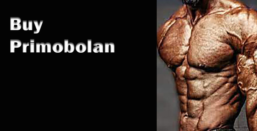 Secrets of Bodybuilding