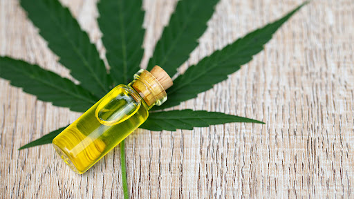 All You Need to Know About Cbd for Pets