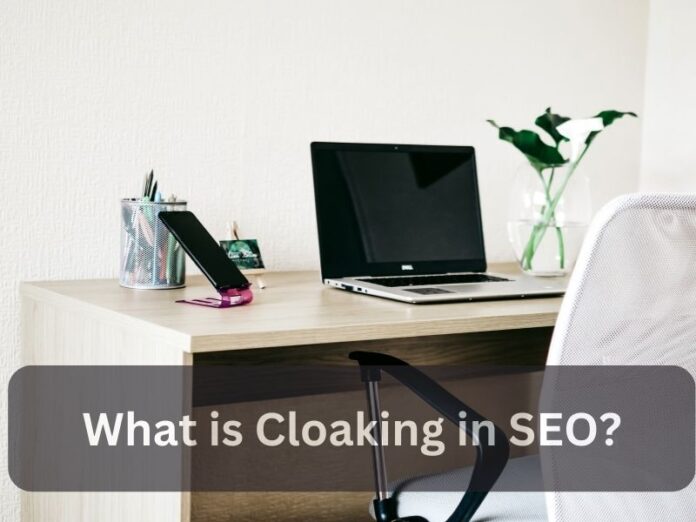 What is Cloaking in SEO?