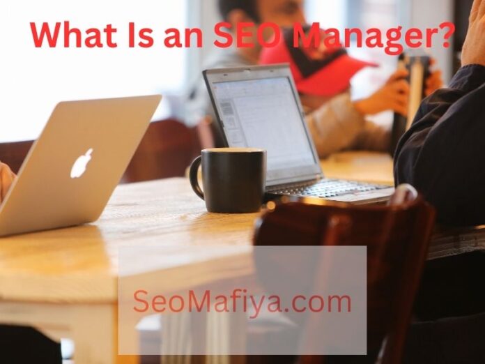 What Is an SEO Manager?