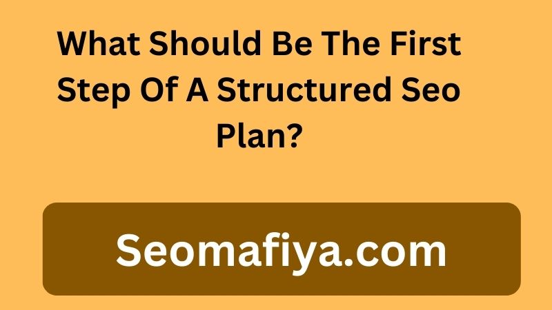 What Should Be The First Step Of A Structured Seo Plan?