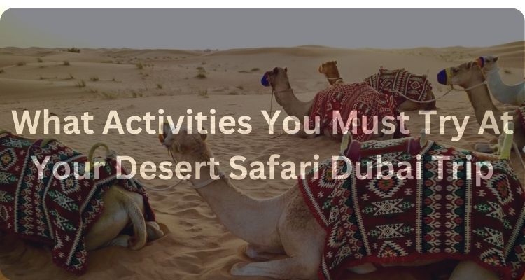 desert of Dubai