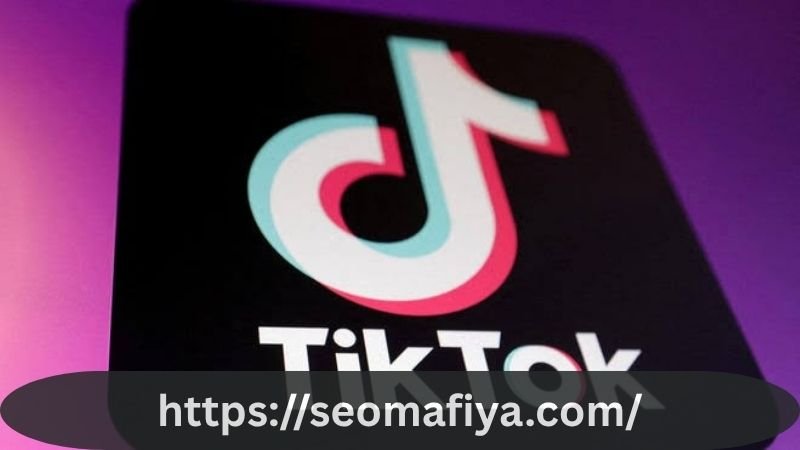 TikTok Downloader